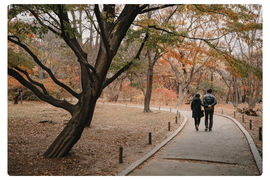 L'Autunno Coreano: Un Viaggio tra Tradizioni e Comfort Food
