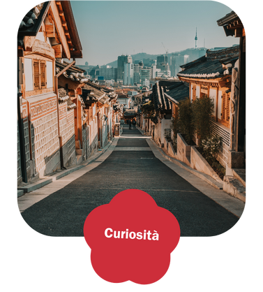 bottone che linka alla pagina curiosità